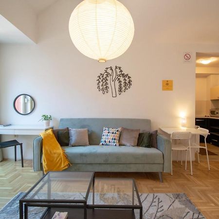 Spacious 1-Bedroom Apartment ノヴィ・サド エクステリア 写真