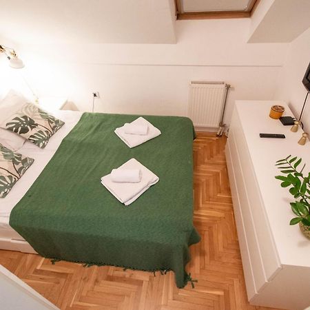 Spacious 1-Bedroom Apartment ノヴィ・サド エクステリア 写真