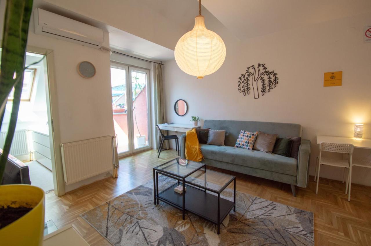 Spacious 1-Bedroom Apartment ノヴィ・サド エクステリア 写真
