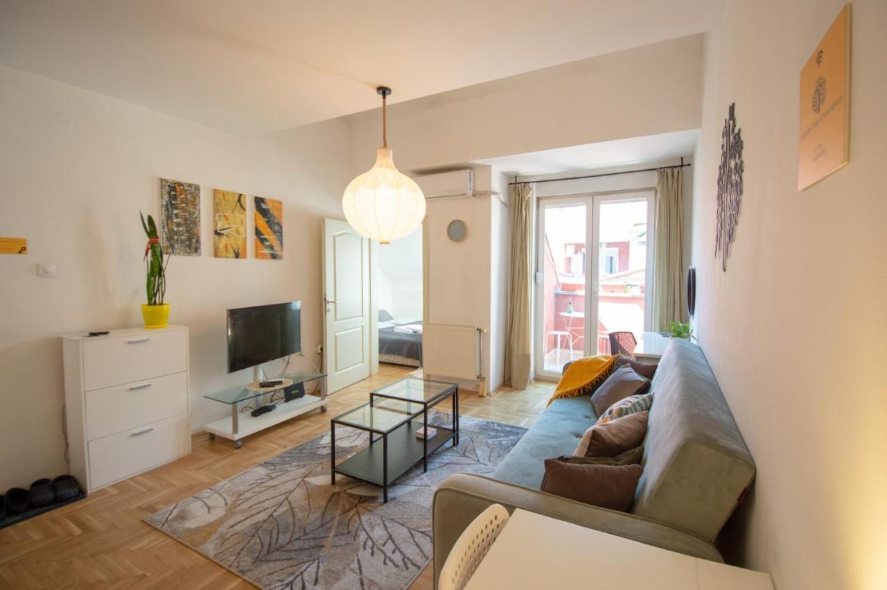 Spacious 1-Bedroom Apartment ノヴィ・サド エクステリア 写真