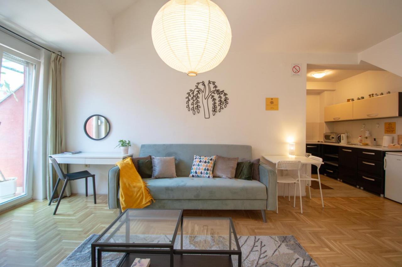 Spacious 1-Bedroom Apartment ノヴィ・サド エクステリア 写真